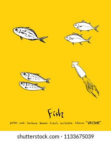sea food illustrations / Hand drawn food ingredients - vector