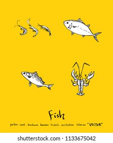 sea food illustrations / Hand drawn food ingredients - vector