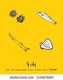 sea food illustrations / Hand drawn food ingredients - vector