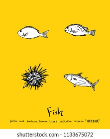 sea food illustrations / Hand drawn food ingredients - vector