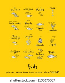 sea food illustrations / Hand drawn food ingredients - vector