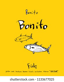 sea food illustrations / Hand drawn food ingredients - vector