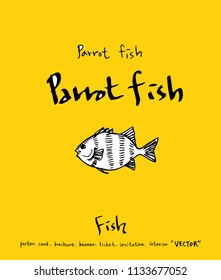 sea food illustrations / Hand drawn food ingredients - vector