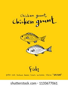 sea food illustrations / Hand drawn food ingredients - vector