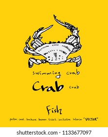 sea food illustrations / Hand drawn food ingredients - vector