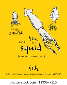 sea food illustrations / Hand drawn food ingredients - vector