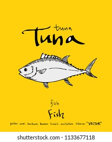 sea food illustrations / Hand drawn food ingredients - vector