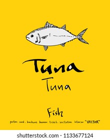 sea food illustrations / Hand drawn food ingredients - vector