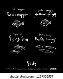 sea food illustrations / Hand drawn food ingredients - vector