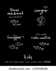 sea food illustrations / Hand drawn food ingredients - vector