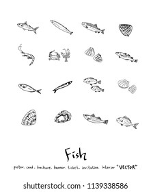 sea food illustrations / Hand drawn food ingredients - vector