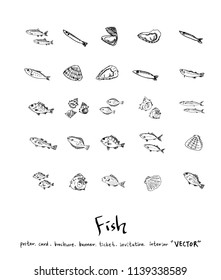 sea food illustrations / Hand drawn food ingredients - vector