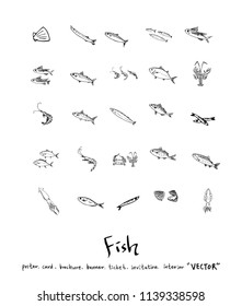 sea food illustrations / Hand drawn food ingredients - vector