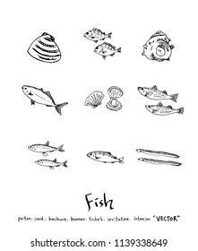 sea food illustrations / Hand drawn food ingredients - vector