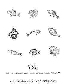 sea food illustrations / Hand drawn food ingredients - vector