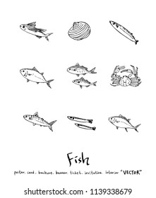 sea food illustrations / Hand drawn food ingredients - vector
