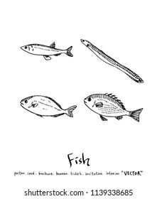 sea food illustrations / Hand drawn food ingredients - vector