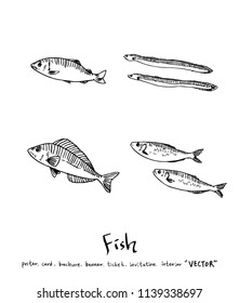 sea food illustrations / Hand drawn food ingredients - vector