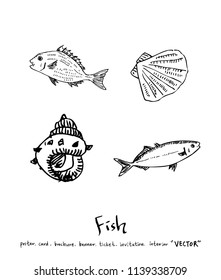 sea food illustrations / Hand drawn food ingredients - vector