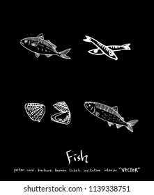 sea food illustrations / Hand drawn food ingredients - vector
