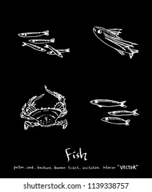 sea food illustrations / Hand drawn food ingredients - vector