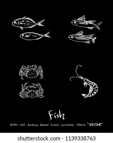 sea food illustrations / Hand drawn food ingredients - vector