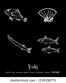 sea food illustrations / Hand drawn food ingredients - vector