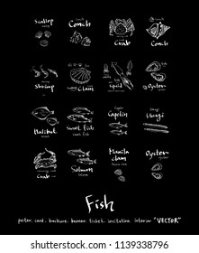 sea food illustrations / Hand drawn food ingredients - vector