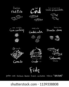 sea food illustrations / Hand drawn food ingredients - vector