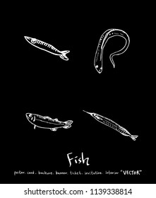sea food illustrations / Hand drawn food ingredients - vector