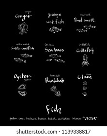 sea food illustrations / Hand drawn food ingredients - vector