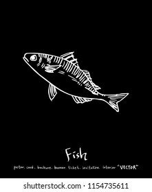 sea food illustrations / Hand drawn food ingredients - vector