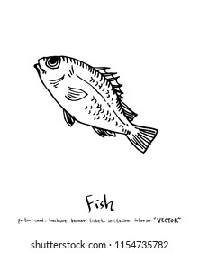 sea food illustrations / Hand drawn food ingredients - vector