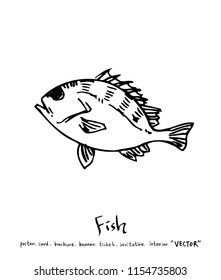 sea food illustrations / Hand drawn food ingredients - vector