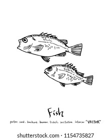 sea food illustrations / Hand drawn food ingredients - vector