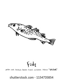 sea food illustrations / Hand drawn food ingredients - vector
