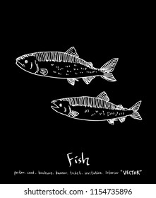 sea food illustrations / Hand drawn food ingredients - vector