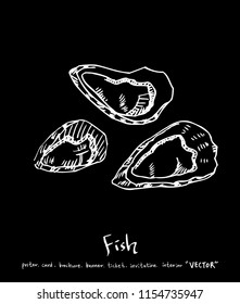 sea food illustrations / Hand drawn food ingredients - vector