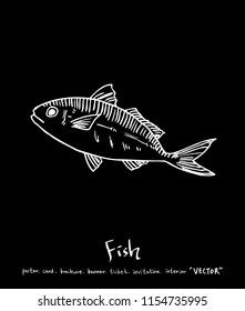 sea food illustrations / Hand drawn food ingredients - vector