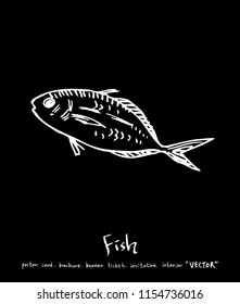 sea food illustrations / Hand drawn food ingredients - vector