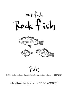 sea food illustrations / Hand drawn food ingredients - vector