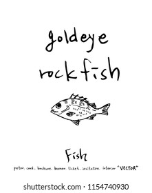 sea food illustrations / Hand drawn food ingredients - vector