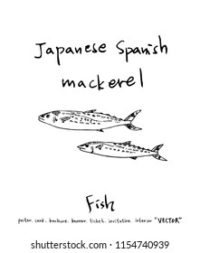 sea food illustrations / Hand drawn food ingredients - vector
