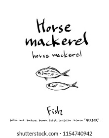 sea food illustrations / Hand drawn food ingredients - vector