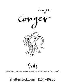 sea food illustrations / Hand drawn food ingredients - vector
