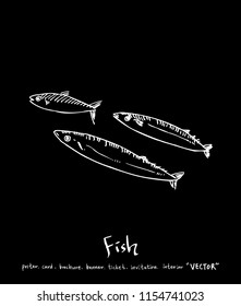 sea food illustrations / Hand drawn food ingredients - vector