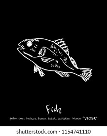 sea food illustrations / Hand drawn food ingredients - vector