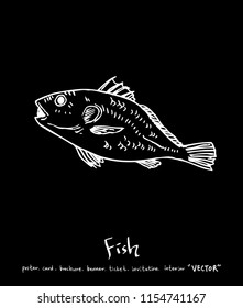 sea food illustrations / Hand drawn food ingredients - vector