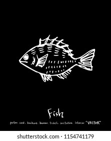 sea food illustrations / Hand drawn food ingredients - vector