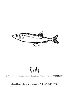 sea food illustrations / Hand drawn food ingredients - vector